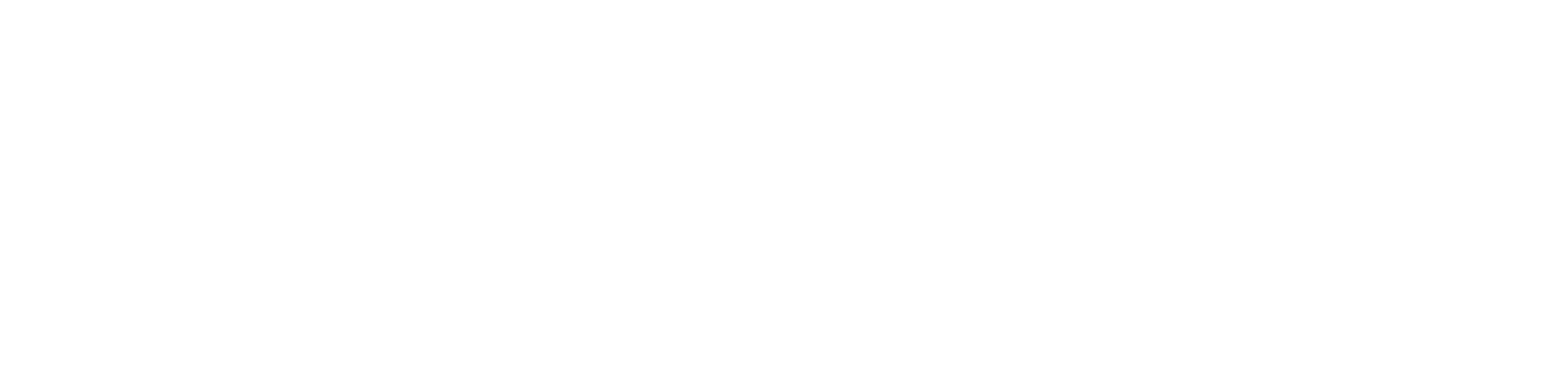 logo-bold-white